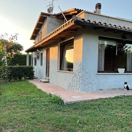 Myosotyss Apartment Zagarolo Екстер'єр фото